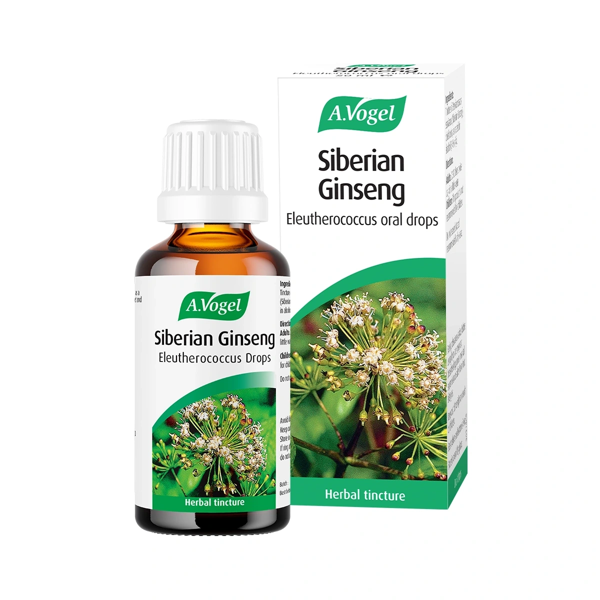 Siberian Ginseng (Eleutherococcus)