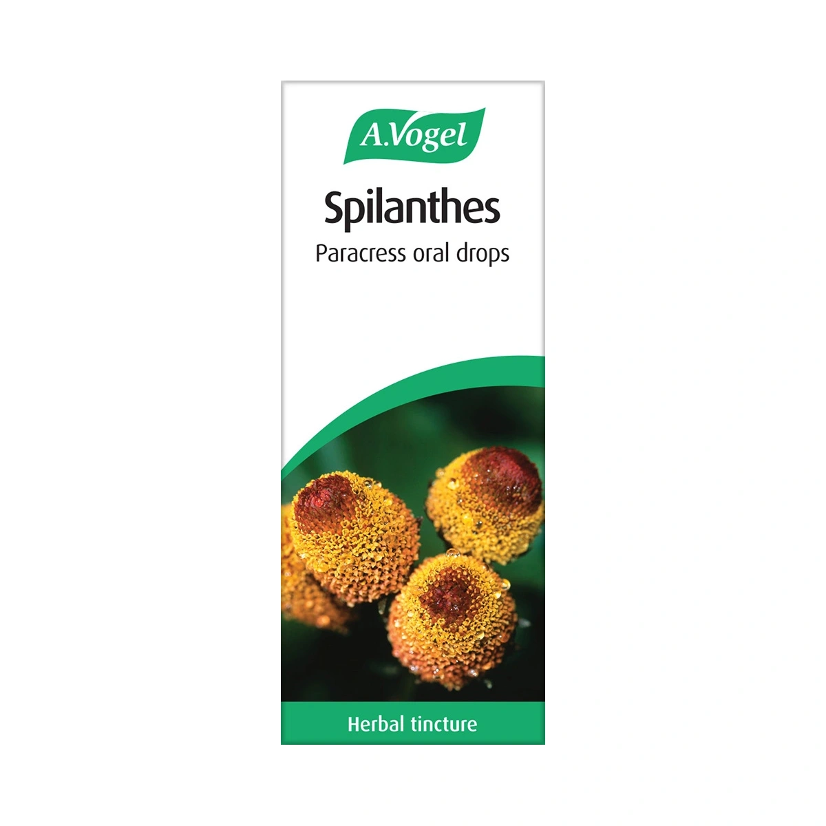 Spilanthes oral drops